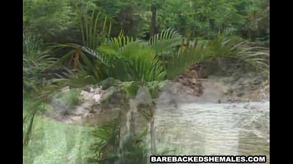 Nasty Lovely Shemale Fucked